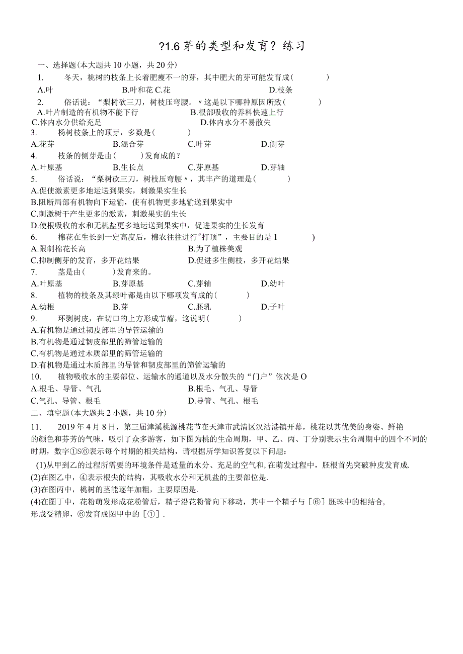 济南版八年级上册《4.1.6芽的类型和发育》测试（含答案）.docx_第1页