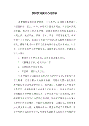 教师教育实习心得体会.docx