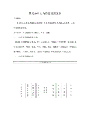 某某公司人力资源管理案例.docx