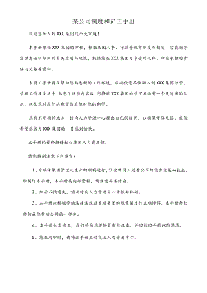 某公司制度和员工手册.docx