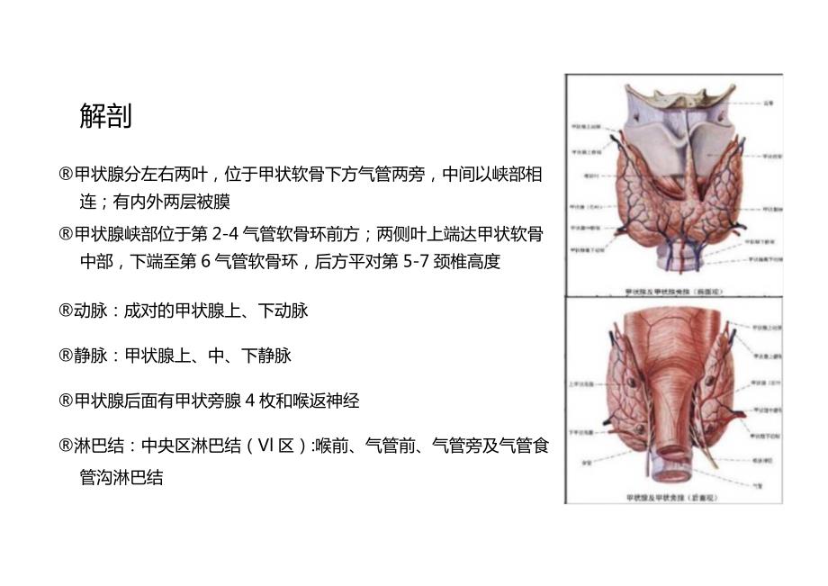 甲状腺癌与腺瘤的影像诊断与鉴别诊断.docx_第2页