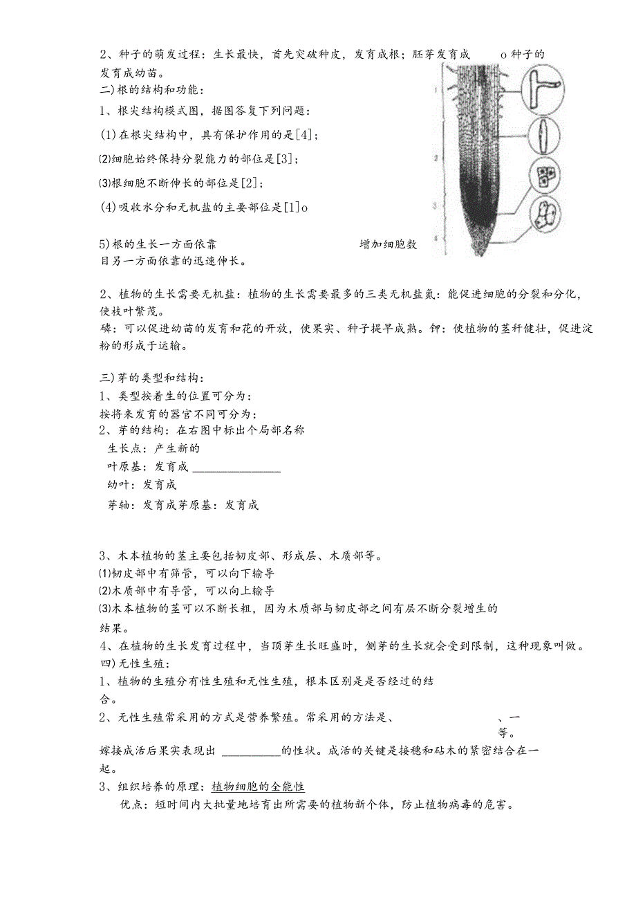 济南版八年级上册第四单元绿色开花植物的一生（第47节）复习活动学案（无答案）.docx_第3页