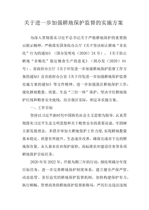 关于进一步加强耕地保护监督的实施方案.docx