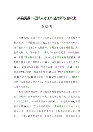 某县党委书记抓人才工作述职评议会议上的讲话.docx