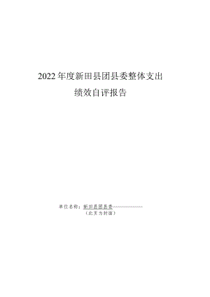 2022年度新田县团县委整体支出绩效自评报告.docx