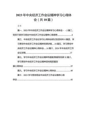 2023年中央经济工作会议精神学习心得体会10篇（最新版）.docx