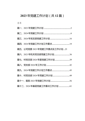 2024年党建工作计划12篇供参考.docx