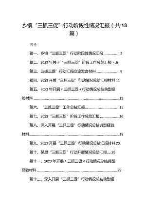 乡镇“三抓三促”行动阶段性情况汇报13篇（精选版）.docx