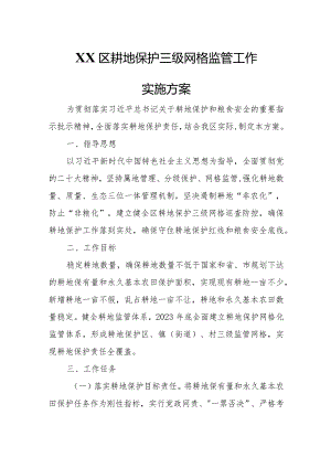 XX区耕地保护三级网格监管工作实施方案.docx