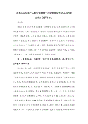 县长在安全生产工作会议暨第一次安委会全体会议上的发言稿.docx