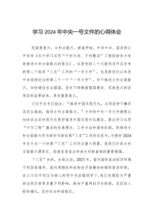 2024年中央一号文件的心得体会优秀范文十四篇.docx