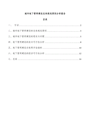 城市地下管网建设总体规划原则分析报告.docx