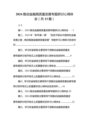 2024推动金融高质量发展专题研讨心得体会13篇(最新精选).docx