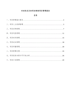 冷冻饮品及食用冰制造项目管理报告.docx