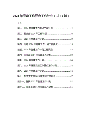 2024年党建工作要点工作计划12篇（最新版）.docx