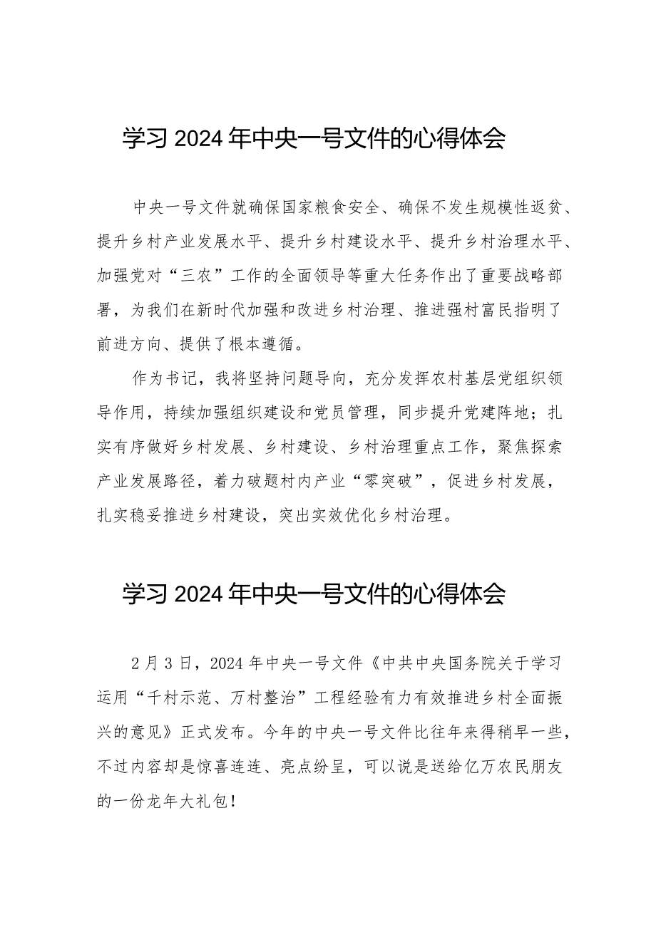 村长2024年中央一号文件学习心得体会十四篇.docx_第1页