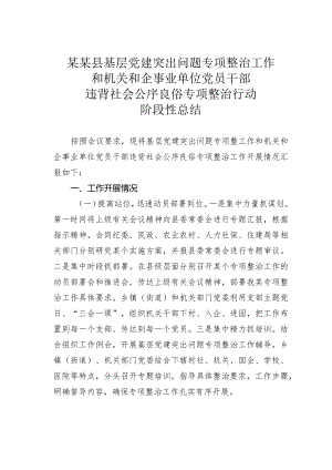 某某县基层党建突出问题专项整治工作和机关和企事业单位党员干部违背社会公序良俗专项整治行动阶段性总结.docx