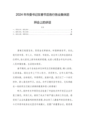 2024年市委书记在春节后各行各业集体团拜会上的讲话.docx