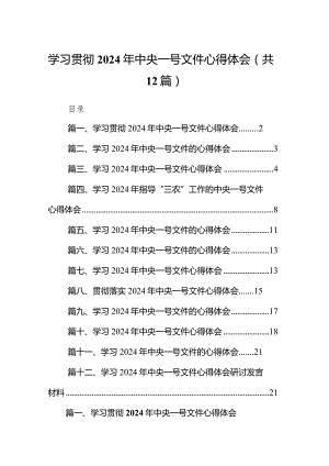 学习贯彻2024年中央一号文件心得体会12篇（精选版）.docx