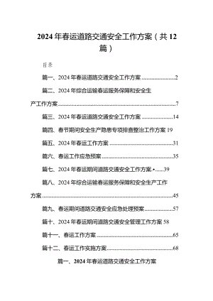 2024年春运道路交通安全工作方案（共12篇）.docx