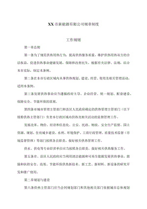 XX市新能源有限公司规章制度（2024年）.docx