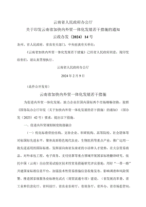 云南省加快内外贸一体化发展若干措施（2024年）.docx