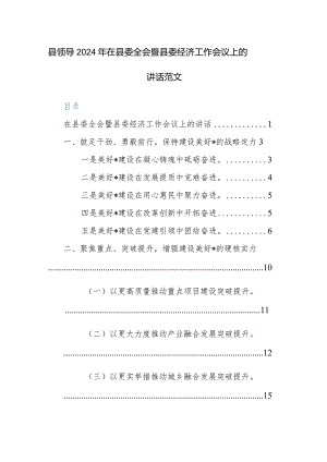 县领导2024年在县委全会暨县委经济工作会议上的讲话范文.docx