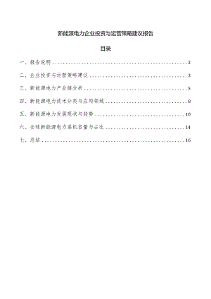 新能源电力企业投资与运营策略建议报告.docx