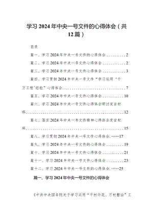 学习2024年中央一号文件的心得体会(12篇合集).docx