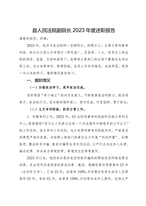 县人民法院副院长2023年度述职报告.docx