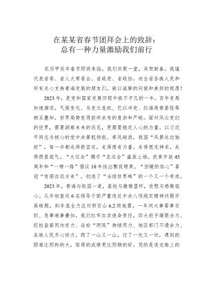 在某某省春节团拜会上的致辞：总有一种力量激励我们前行.docx