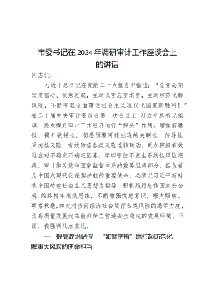 市委书记在2024年调研审计工作座谈会上的讲话.docx