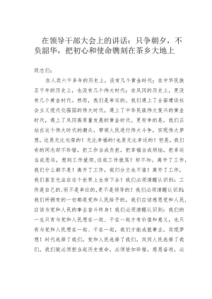 在领导干部大会上的讲话：只争朝夕不负韶华把初心和使命镌刻在茶乡大地上.docx