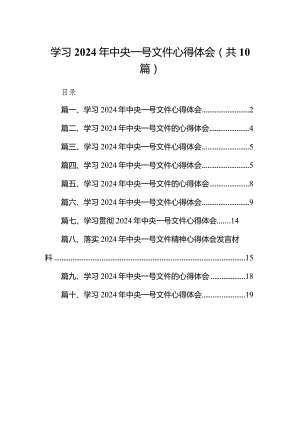 学习2024年中央一号文件心得体会10篇（完整版）.docx