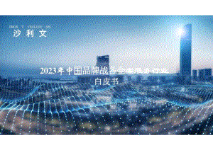 2023年中国品牌战略全案服务行业研究报告.docx