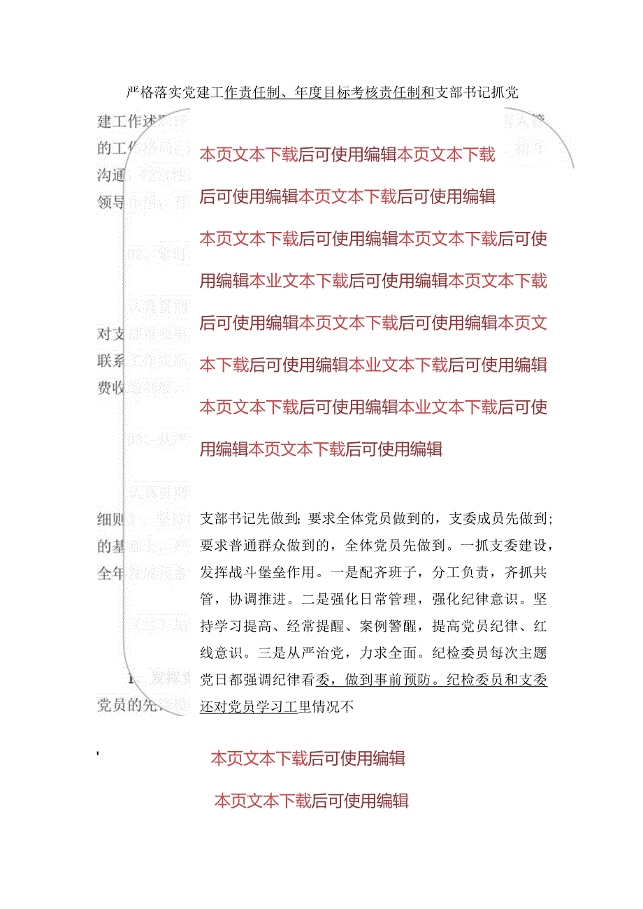 2024党支部书记个人工作述职报告.docx_第3页