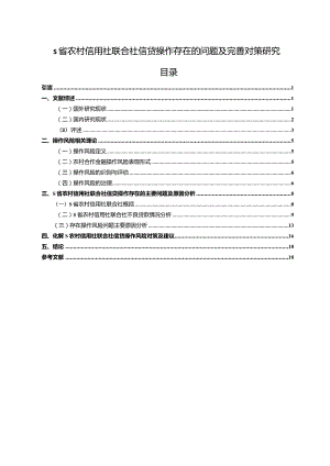 【《S省农村信用社联合社信贷操作存在的问题及优化建议探析11000字》（论文）】.docx