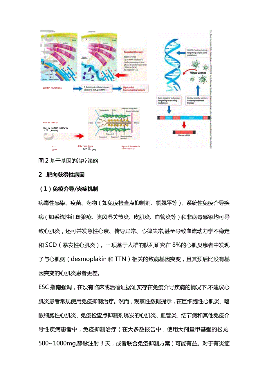 2024扩张型心肌病和肥厚型心肌病管理的新方案.docx_第3页