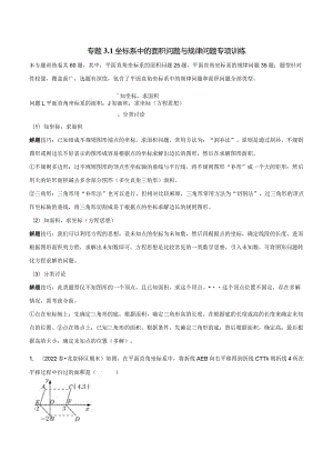 专题3.1坐标系中的面积问题与规律问题专项训练（解析版）.docx