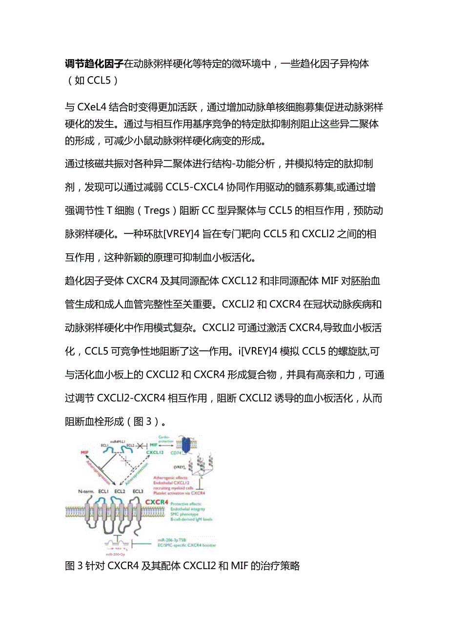 2024动脉粥样硬化治疗策略.docx_第3页