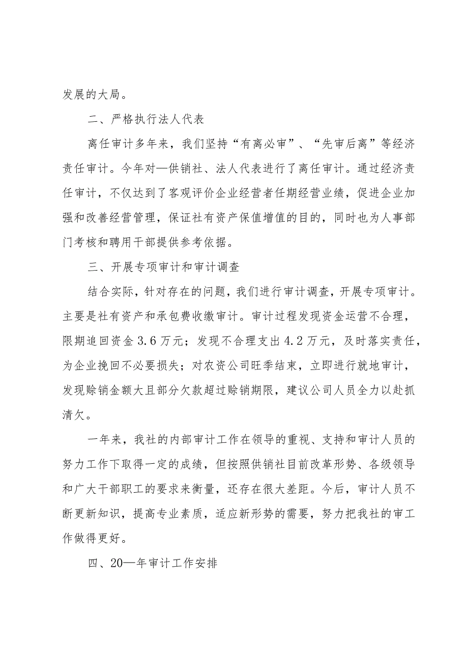 供销社审计总结（3篇）.docx_第2页