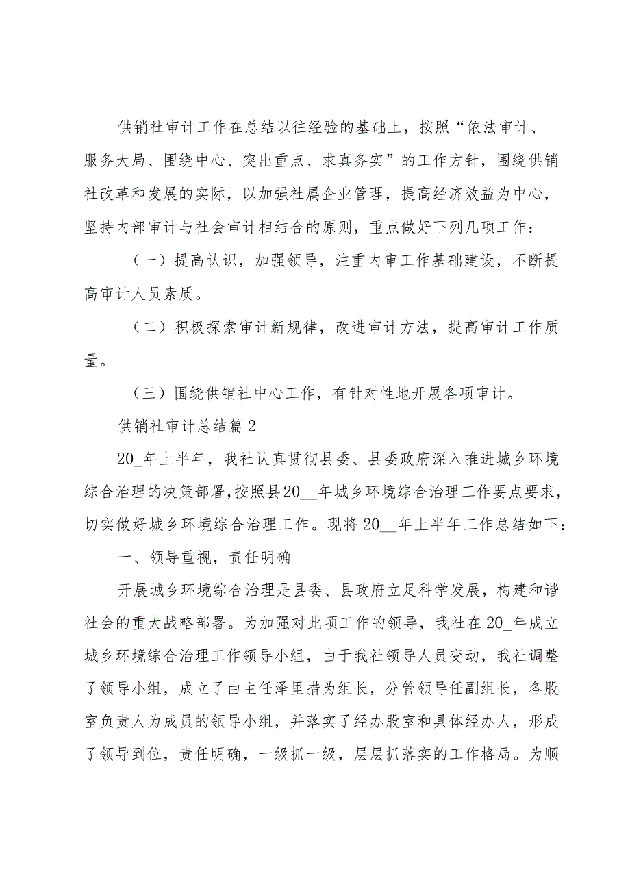 供销社审计总结（3篇）.docx_第3页