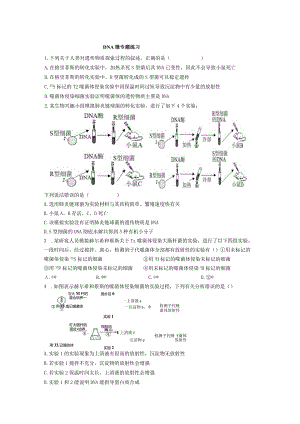 DNA微专题练习.docx