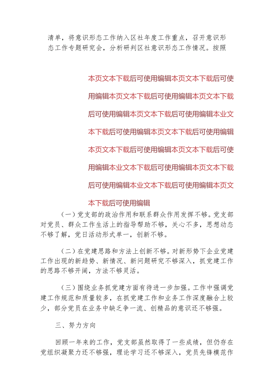 202党支部书记个人述职报告.docx_第3页