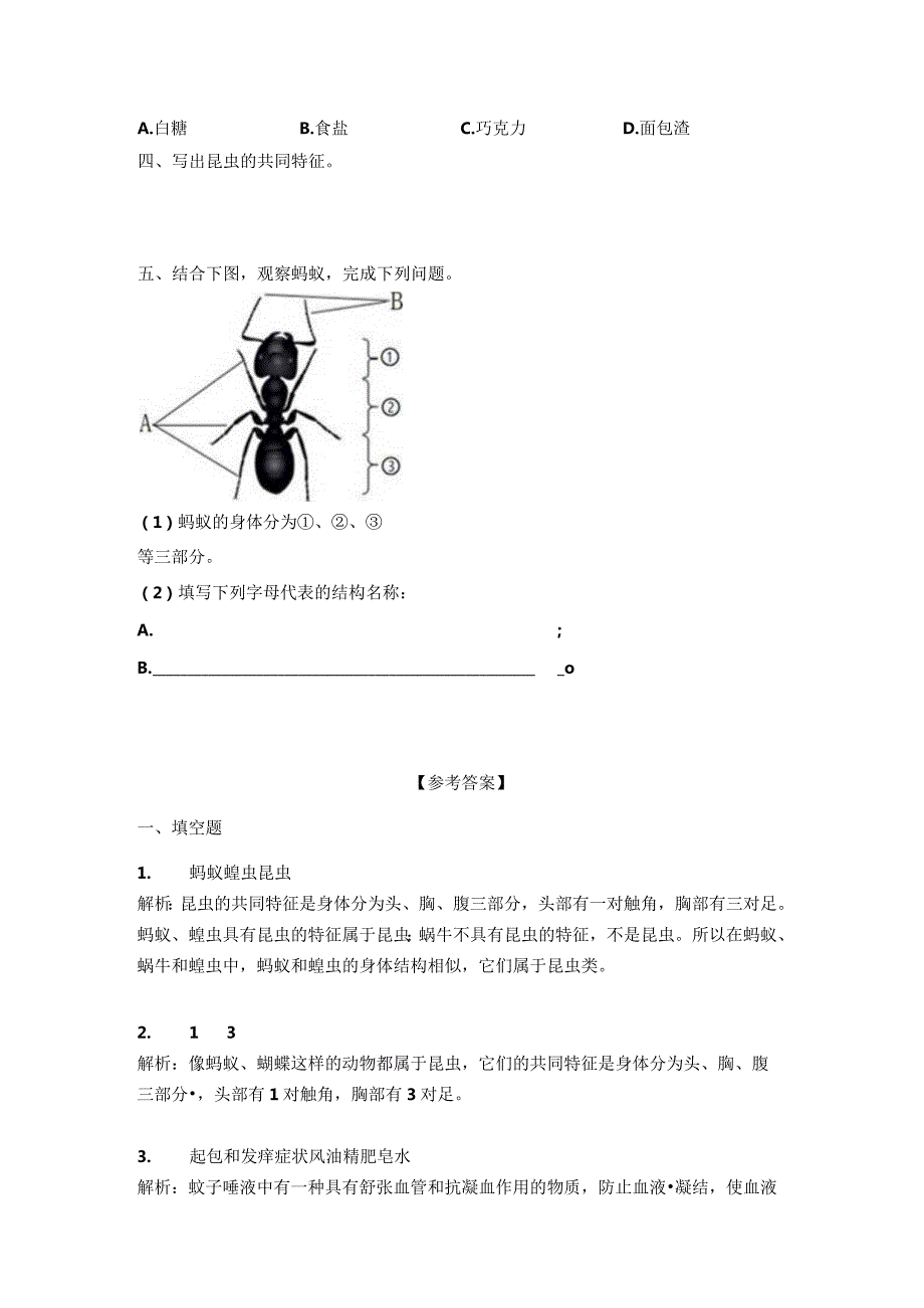 1-1蚂蚁（习题）青岛版科学四年级上册.docx_第3页