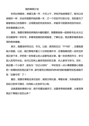 中小学生优秀作文《我的寒假计划》.docx