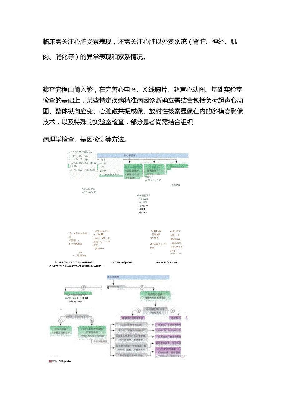 2024中国左室肥厚诊治路径.docx_第3页