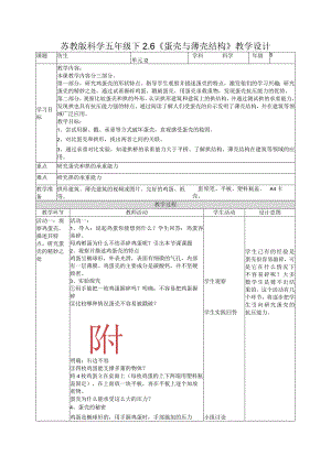 2-6蛋壳与薄壳结构（教案）五年级科学下册（苏教版）.docx