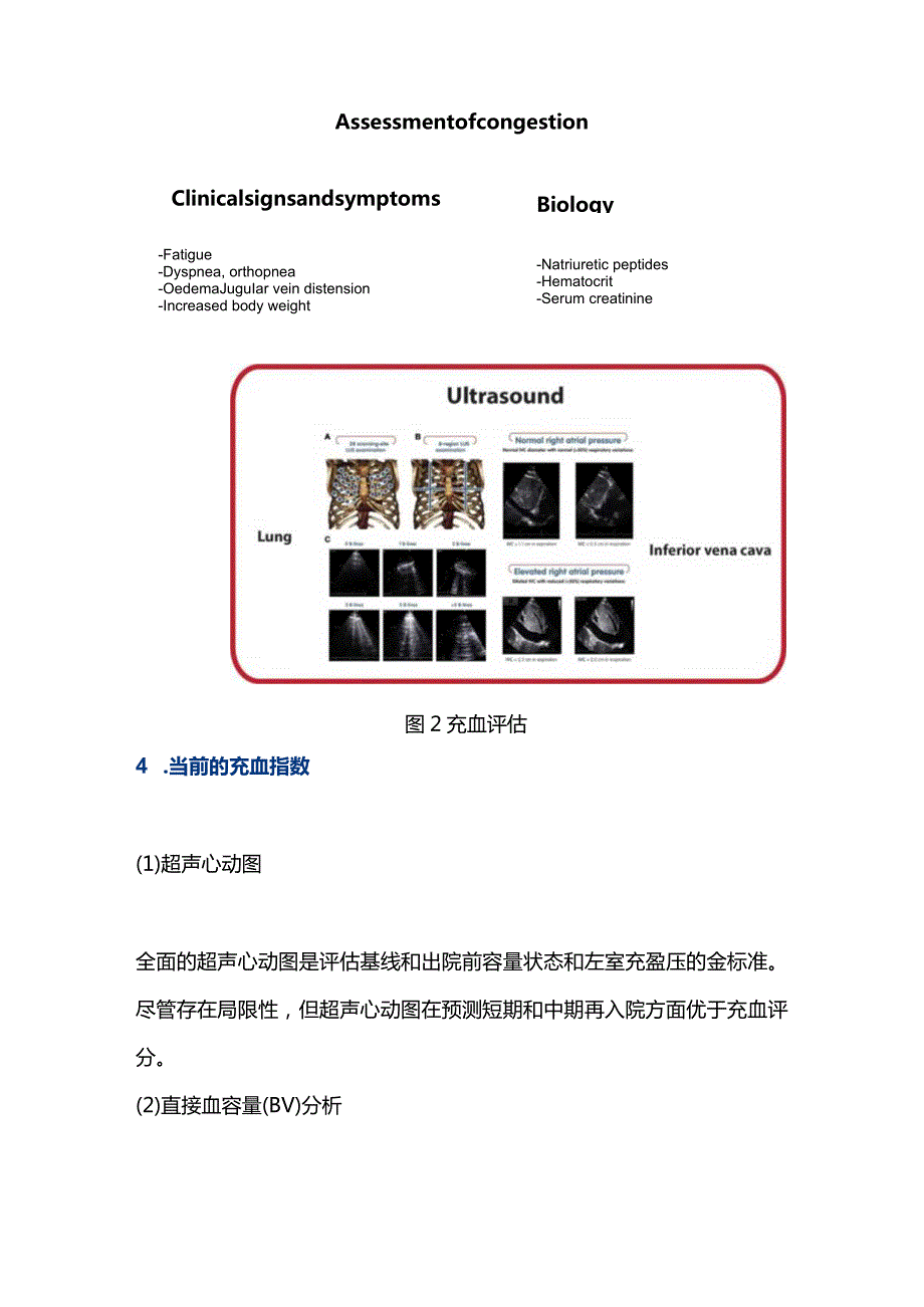 2024急性心力衰竭当前的药物治疗要点总结.docx_第3页