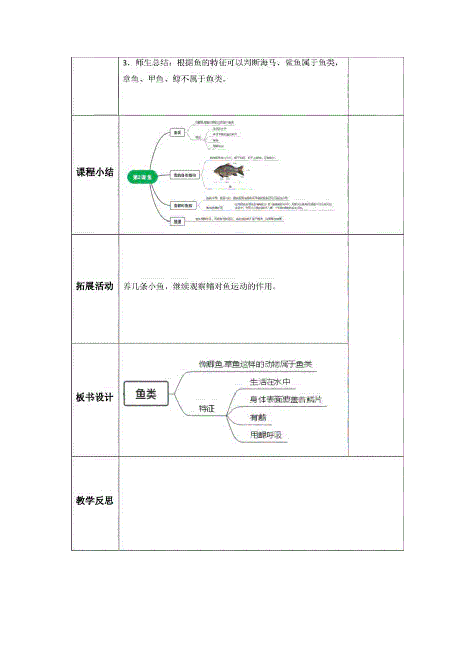 1-2鱼（教案）青岛版科学四年级上册.docx_第3页